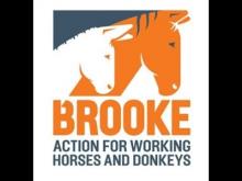 Brooke Action for Working Horses and Donkeys logo